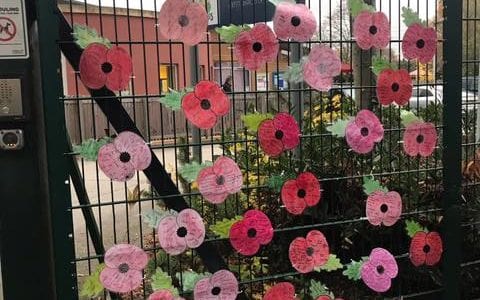Our remembrance poppies are on display at Thoresby