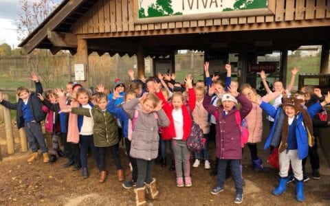 Key stage 1 have a wild day out!