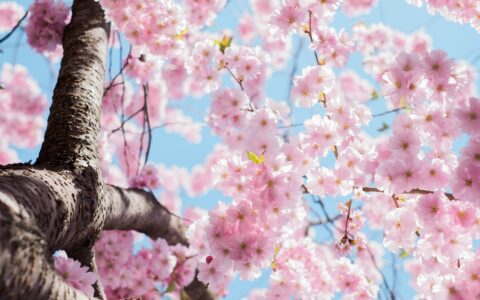 Newsletter - 26 March 2021