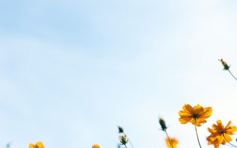 Newsletter - 12 March 2021