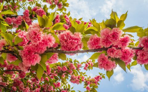 Newsletter - 7 May 2021