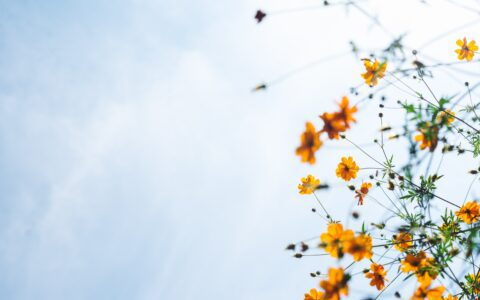 Newsletter - 9 June 2023