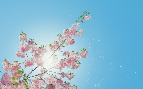 Newsletter - 31 March 2023