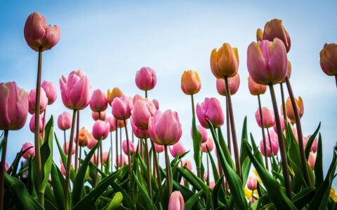 Newsletter - 19 April 2024